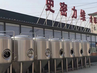 奉新精酿啤酒设备厂—如何判断精酿啤酒设备的密封件需要更换？